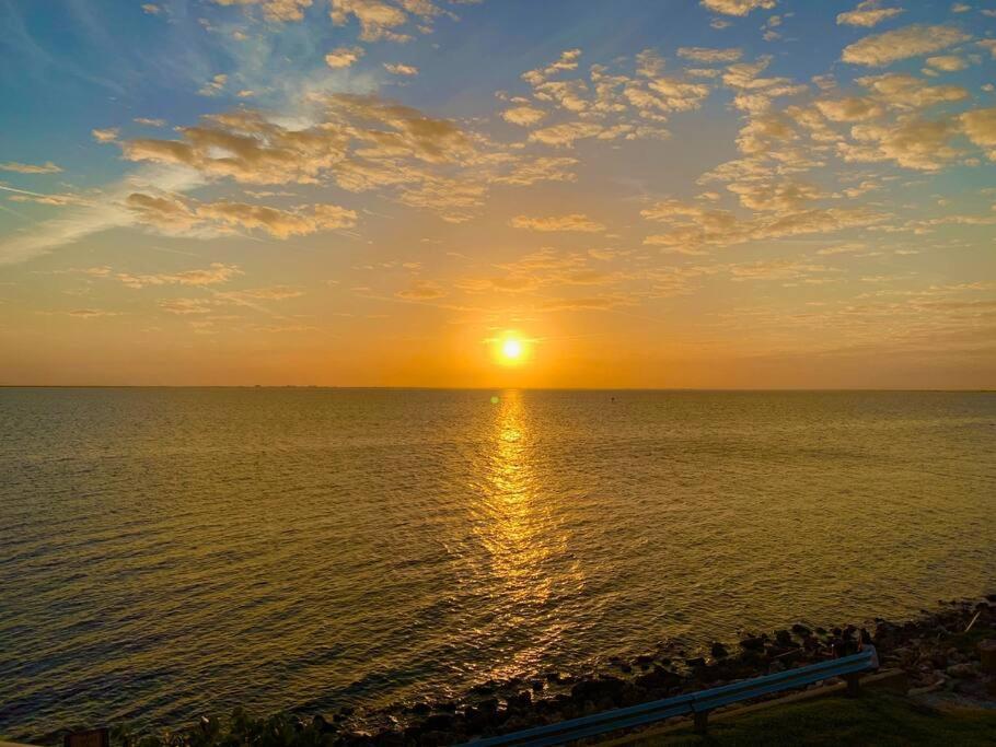 The Great Escape - Panoramic Sunset Views Villa Tampa Dış mekan fotoğraf